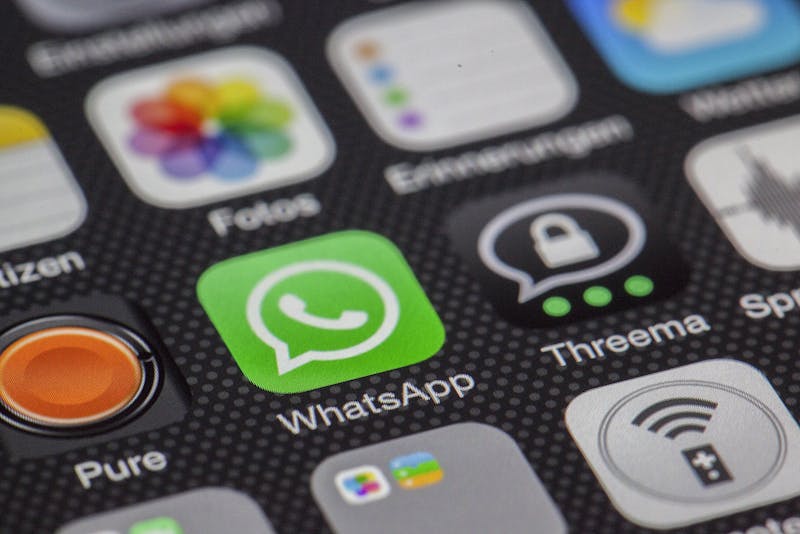 Grupos sobre animais no WhatsApp: onde encontrar, como participar e o que esperar